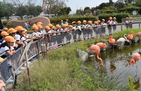 遠足（年中組）東武動物公園